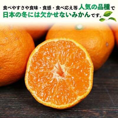 先行予約 訳あり 南柑20号 9kg 河野農園 愛媛 みかん B010-147004