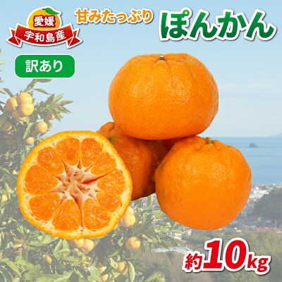 訳あり ポンカン 10kg 協徳ガーデン B010-178005