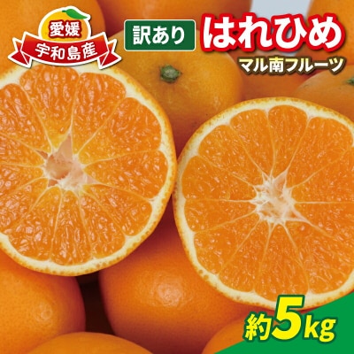 訳あり はれひめ 5kg 先行予約 マル南フルーツ B012-106002
