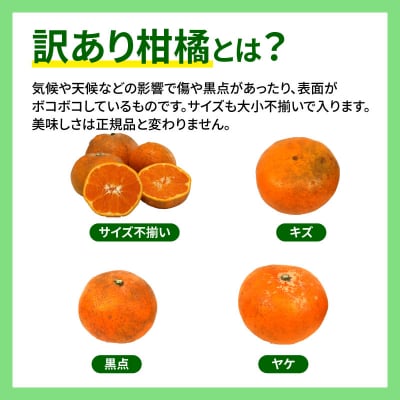 訳あり はれひめ 5kg 先行予約 マル南フルーツ B012-106002