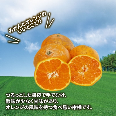 訳あり はれひめ 5kg 先行予約 マル南フルーツ B012-106002