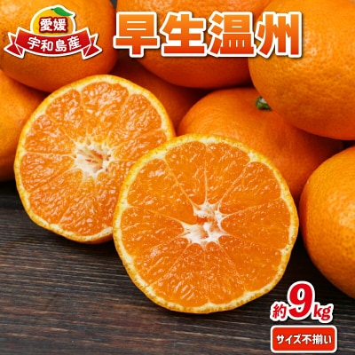 早生温州 9kg 兵頭農園 B012-055001