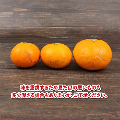 早生温州 9kg 兵頭農園 B012-055001