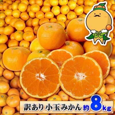 先行予約 訳あり 小玉みかん 8kg 中井屋 温州みかん 愛媛 みかん B010-173002