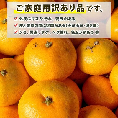 先行予約 訳あり 小玉みかん 8kg 中井屋 温州みかん 愛媛 みかん B010-173002
