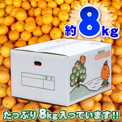 先行予約 訳あり 小玉みかん 8kg 中井屋 温州みかん 愛媛 みかん B010-173002