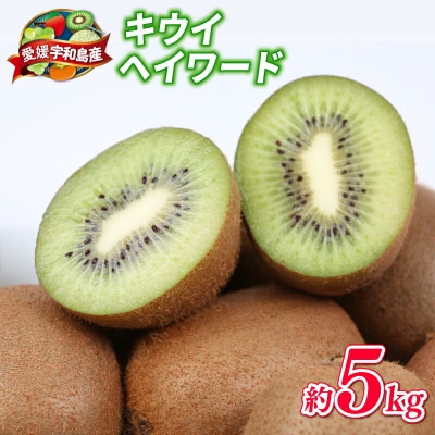 キウイ ヘイワード 5kg 吉田農園 F014-160001