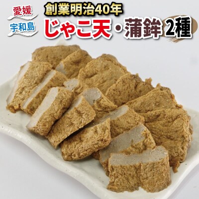 じゃこ天・蒲鉾2種 野中かまぼこ店 C010-014001