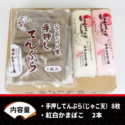 じゃこ天・蒲鉾2種 野中かまぼこ店 C010-014001