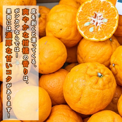 先行予約 訳あり ポンカン 9kg コルレオファーム 愛媛 みかん ぽんかん B012-145010