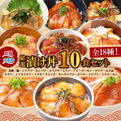 漬丼 厳選 活締め 全18種 お任せ10食 セット 南予ビージョイ D016-150021
