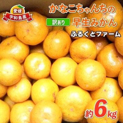 訳あり 早生 6kg ふるくとファーム B010-037004
