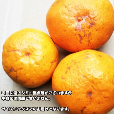訳あり 早生 6kg ふるくとファーム B010-037004