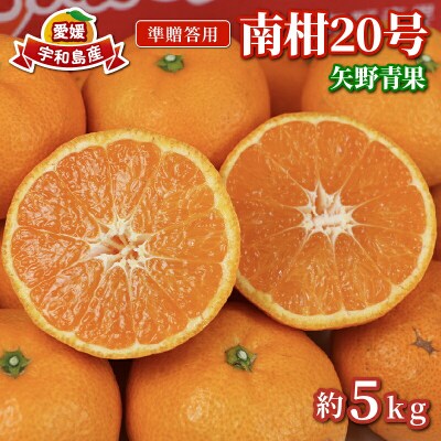 先行予約 準贈答用 南柑20号 5kg 矢野青果 愛媛 みかん B012-171005