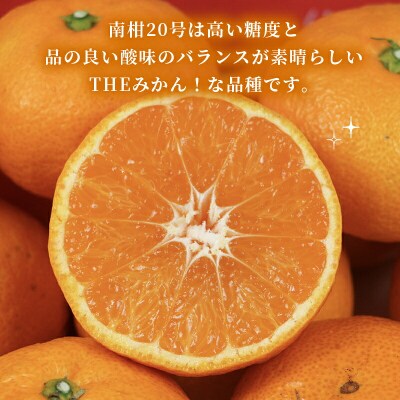 先行予約 準贈答用 南柑20号 5kg 矢野青果 愛媛 みかん B012-171005