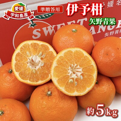 先行予約 準贈答用 伊予柑 5kg 矢野青果 愛媛 みかん いよかん B012-171011