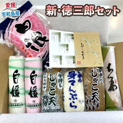 じゃこ天 セット 詰め合わせ 新・徳三郎 田中蒲鉾本店 C012-045001