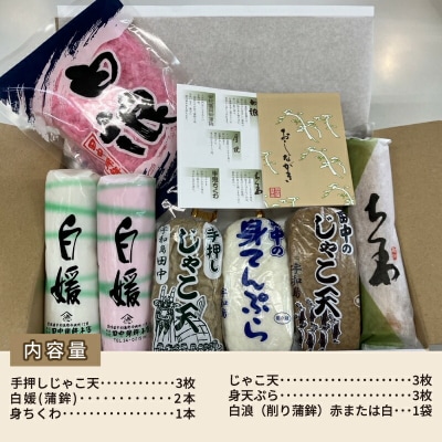 じゃこ天 セット 詰め合わせ 新・徳三郎 田中蒲鉾本店 C012-045001