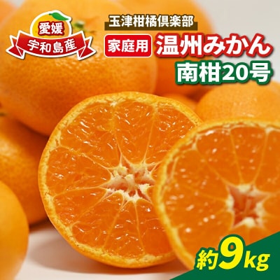温州みかん 南柑20号 家庭用 9kg 玉津柑橘倶楽部 B010-072002