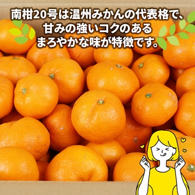 温州みかん 南柑20号 家庭用 9kg 玉津柑橘倶楽部 B010-072002