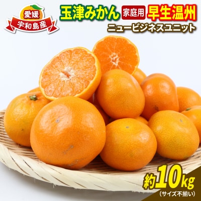 先行予約 家庭用早生温州 10kg ニュービジネスユニット 愛媛 玉津みかん B015-058001