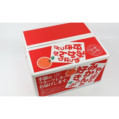 先行予約 家庭用早生温州 10kg ニュービジネスユニット 愛媛 玉津みかん B015-058001