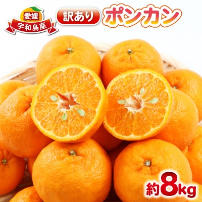 先行予約 訳あり ポンカン 8kg 杉本屋 愛媛 みかん ぽんかん B015-143020