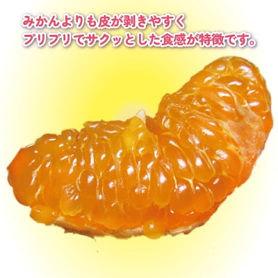先行予約 訳あり ポンカン 8kg 杉本屋 愛媛 みかん ぽんかん B015-143020