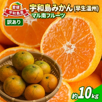 訳あり 宇和島みかん 早生温州 10kg マル南フルーツ B010-106017