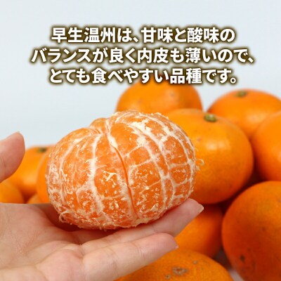 訳あり 宇和島みかん 早生温州 10kg マル南フルーツ B010-106017