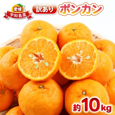 先行予約 訳あり ポンカン 10kg 杉本屋 愛媛 みかん ぽんかん B017-143021