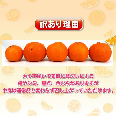 先行予約 訳あり ポンカン 10kg 杉本屋 愛媛 みかん ぽんかん B017-143021
