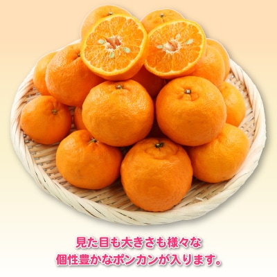 先行予約 訳あり ポンカン 10kg 杉本屋 愛媛 みかん ぽんかん B017-143021
