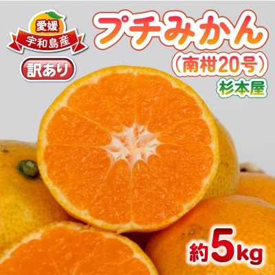 訳あり プチみかん 南柑20号 5kg 杉本屋 B010-143014