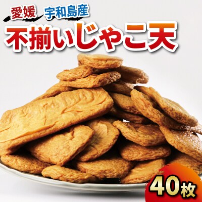 訳あり 不揃い じゃこ天 40枚 中村かまぼこ店 C012-013005