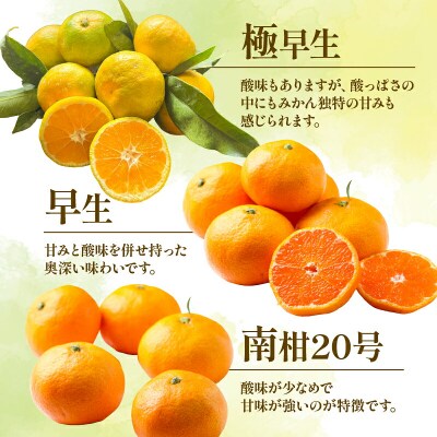 贈答用 おまかせ 温州みかん 3kg YAMAUCHI FARM B010-084003