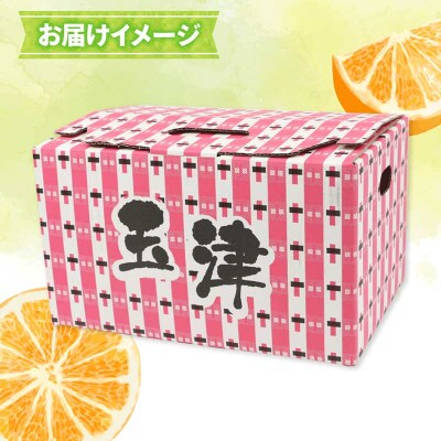 贈答用 おまかせ 温州みかん 3kg YAMAUCHI FARM B010-084003