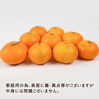 家庭用 早生みかん 宮川早生 9kg 植村農園 B010-153003