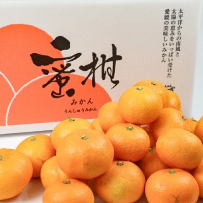 家庭用 早生みかん 宮川早生 9kg 植村農園 B010-153003