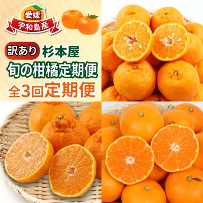 先行予約 訳あり 柑橘 定期便 全3回 杉本屋 愛媛 みかん B030-143013