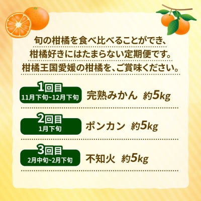 先行予約 訳あり 柑橘 定期便 全3回 杉本屋 愛媛 みかん B030-143013