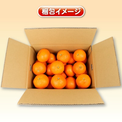訳あり 伊予柑 5kg 杉本屋 B010-143006