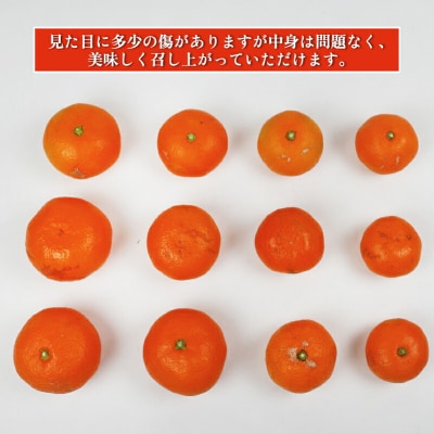 訳あり 南柑20号 9kg まる玉農園 B010-172001