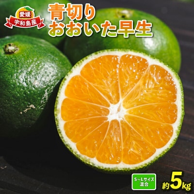 青切りおおいた早生 5kg コルレオファーム B010-145002