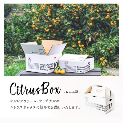 青切りおおいた早生 5kg コルレオファーム B010-145002