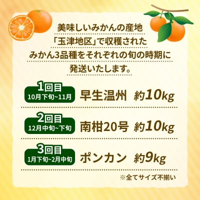 玉津みかん3種 定期便 ニュービジネスユニット 愛媛 みかん B050-058007
