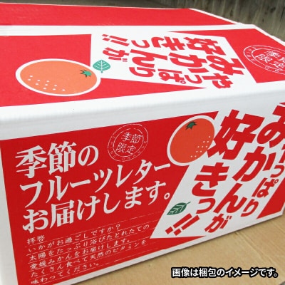 玉津みかん3種 定期便 ニュービジネスユニット 愛媛 みかん B050-058007