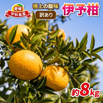 訳あり 伊予柑 8kg 協徳ガーデン B010-178006