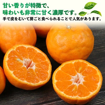 訳あり ポンカン 9kg 河野農園 B010-147005