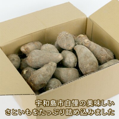 里芋 5.2kg 根菜 さといも サイズ 不揃い 御槇米生産協議会 F012-018001